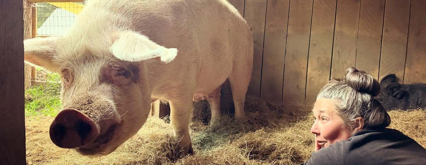 August 8, 2026 Tour - Come See Us at the Sanctuary!